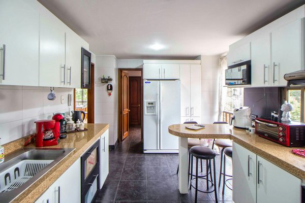 Top Heat-Tolerant Plants Perfect for Your South-Facing UK Garden Patio